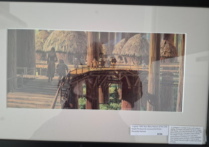 Original 1983 Star Wars Return of the Jedi Ralph McQuarrie Concept Art Print Framed #12