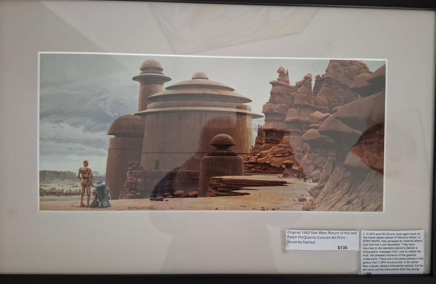 Original 1983 Star Wars Return of the Jedi Ralph McQuarrie Concept Art Print Framed #1