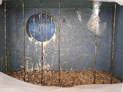 Neon Genesis Evangelion – 1/6 Scale Ayanami Rei White Dress (Cross Version) Figure with Cage