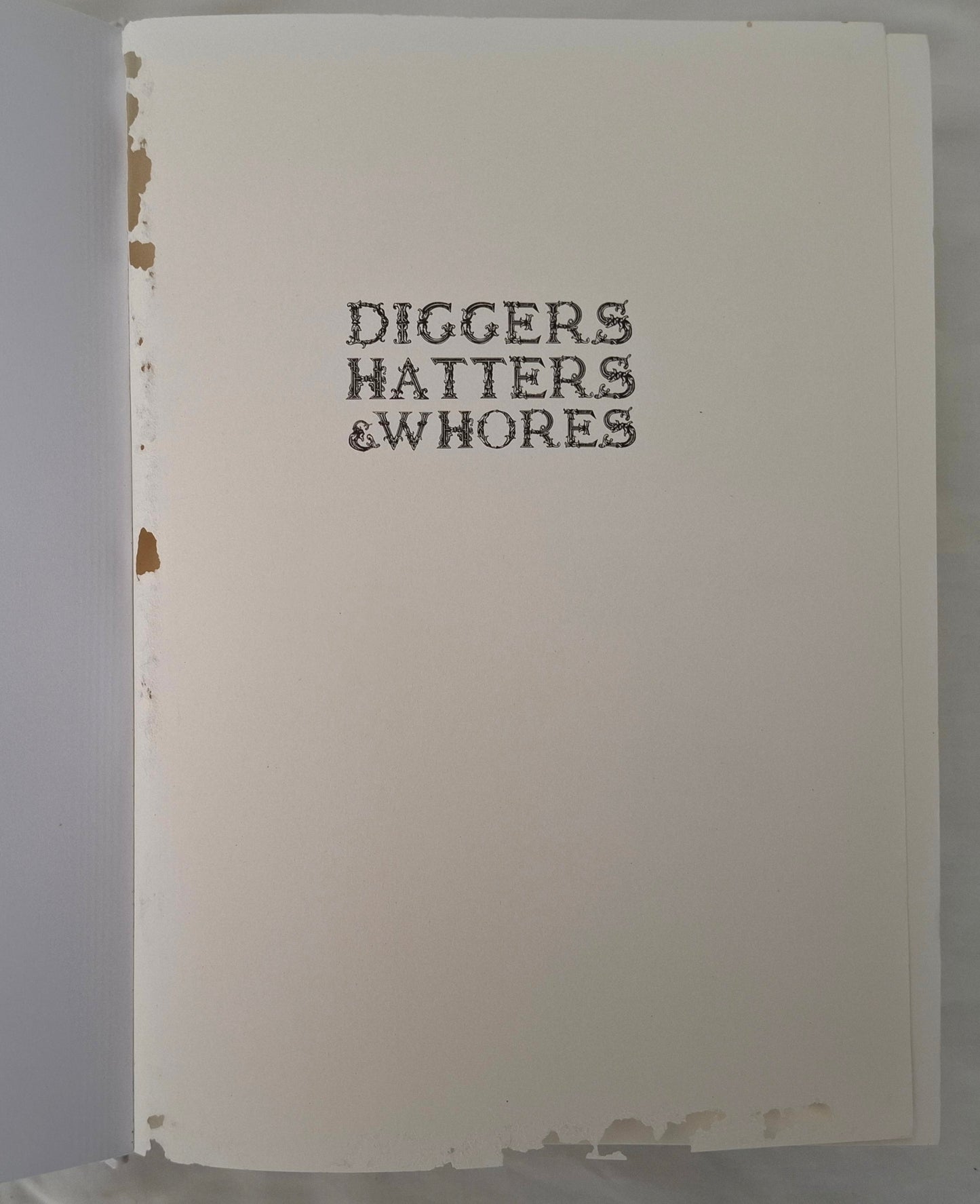 Diggers, Hatters & Whores: The Story of the New Zealand Gold Rushes – Stevan Eldred-Grigg – 2008